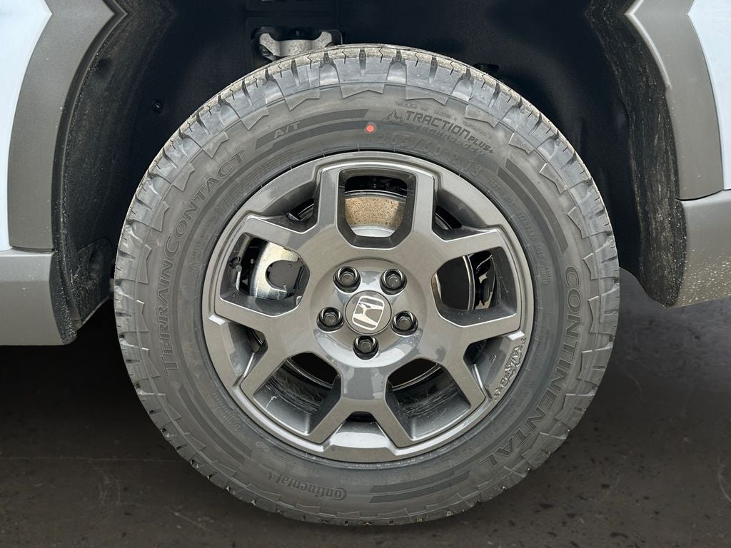 2026 Honda Pilot TrailSport