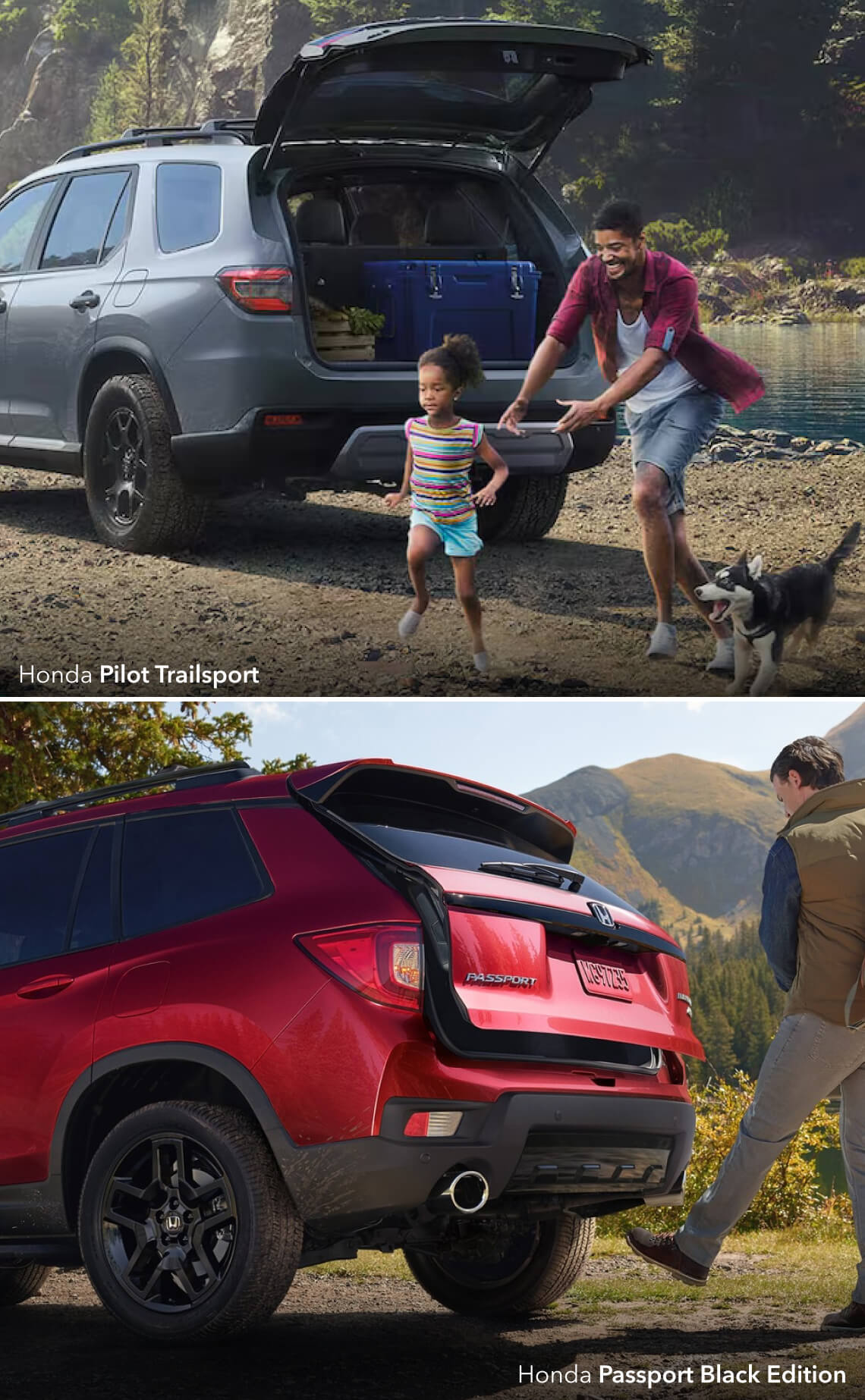 Honda Passport vs. Pilot Trims